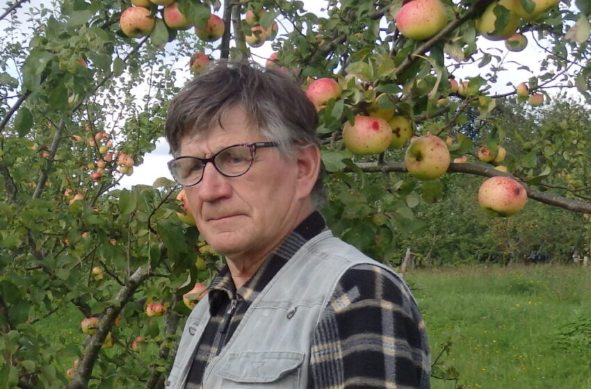  Sodininkų žvilgsnis į apytuštes obelis