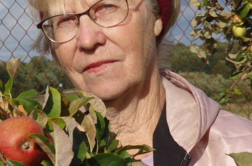  Gardžiuokimės su… sodininke Barbora iš Tilvikų