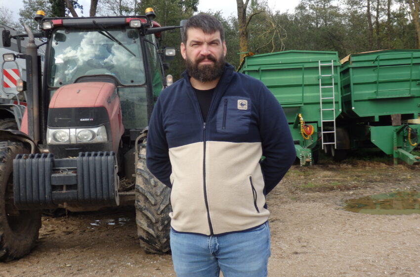  Mėsinių viščiukų augintojas mato perspektyvą: sveiko maisto visada reikės