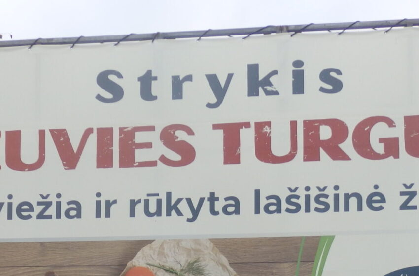  Iš praeities sugrąžintas „Strykio“ žuvies turgus