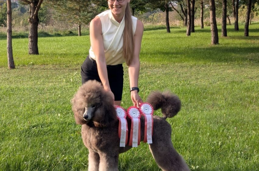  Maciuitiškių mylima Dotty – Lietuvos jaunių čempionė
