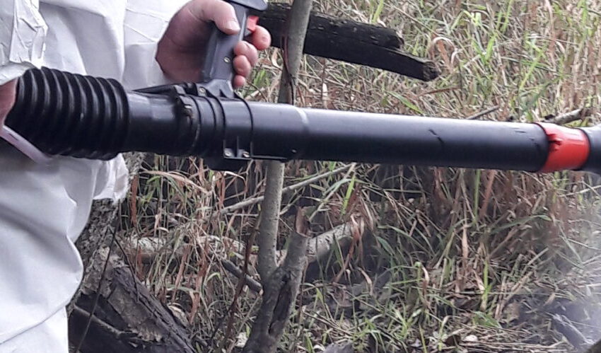  Afrikinis kiaulių maras pasiekė rajono gilumą