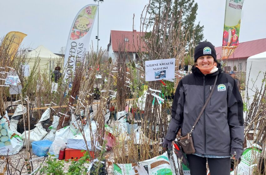  Sodinukų mugėje Slengiuose – augalų įvairovė