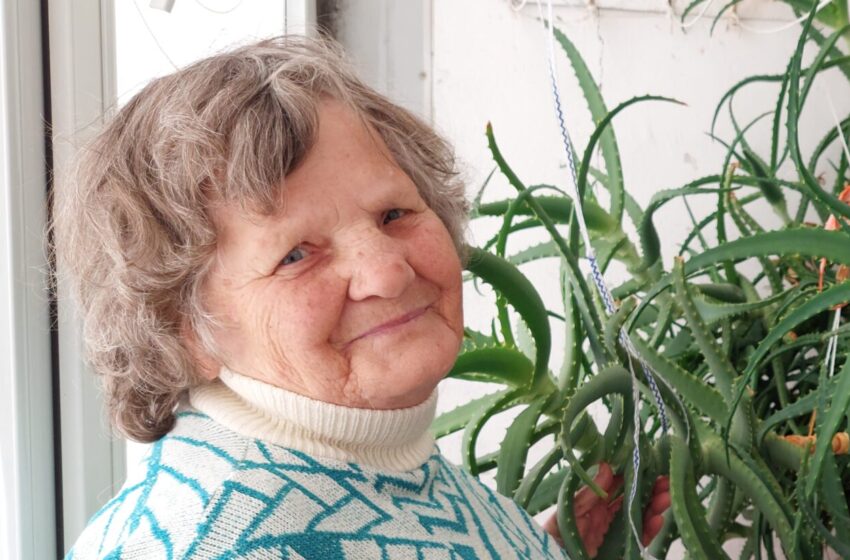  Dvidešimtmečio alijošiaus šeimininkė laukia pirkėjų