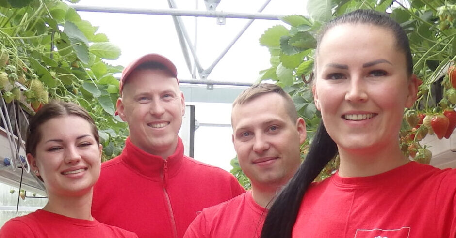 The aspiration of the strawberry grower from Jucaičiai is to expand the family farm