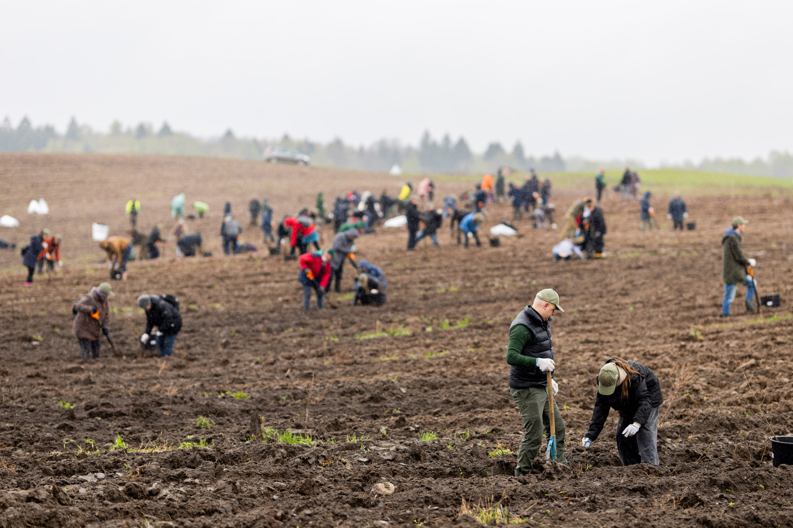 The National Forest Campaign “To keep the forest green” attracted a record number of participants – more than 100 forests were planted in the country