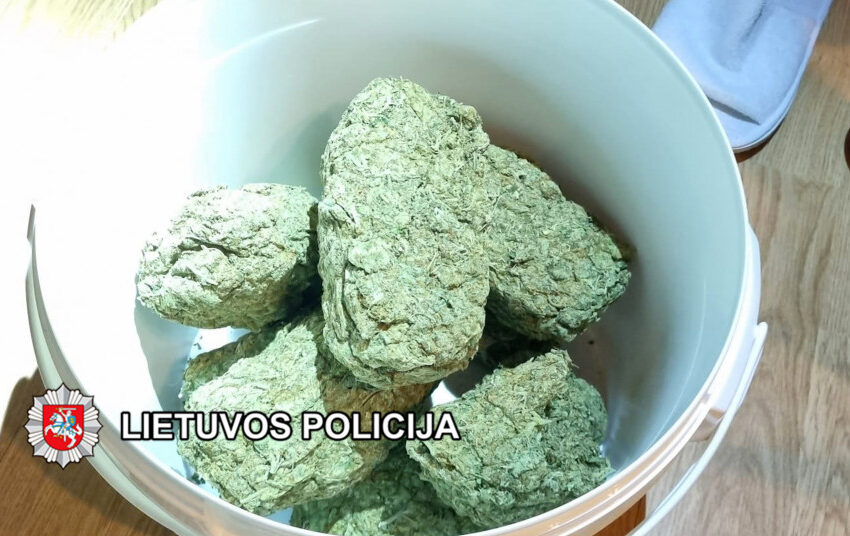  Kratų metu Klaipėdos kriminalistai rado apie 10 kg. įtariama kanapių ir apie 2 kg įtariama kokaino