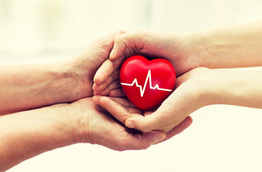  Neįkainojama dovana – donorinis organas atskraidintas į Lietuvą