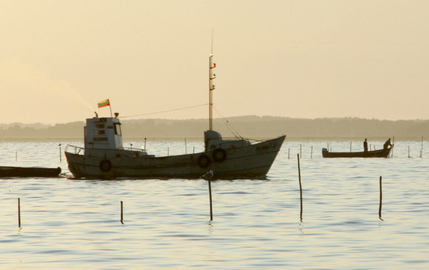  Saugant nykstančius žuvų išteklius siūloma riboti verslinę žvejybą Kuršių mariose