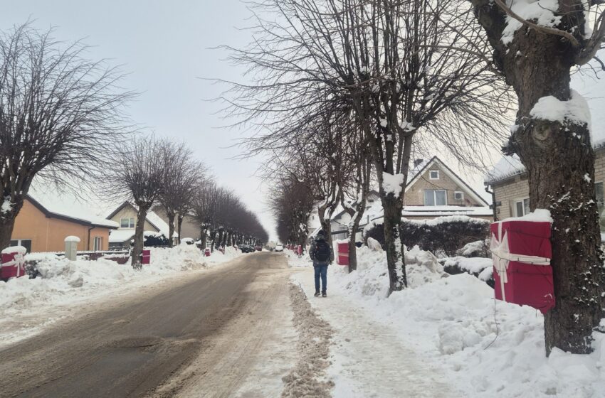  Gėlių gatvė – darnios kaimynystės ir bendrystės pavyzdys