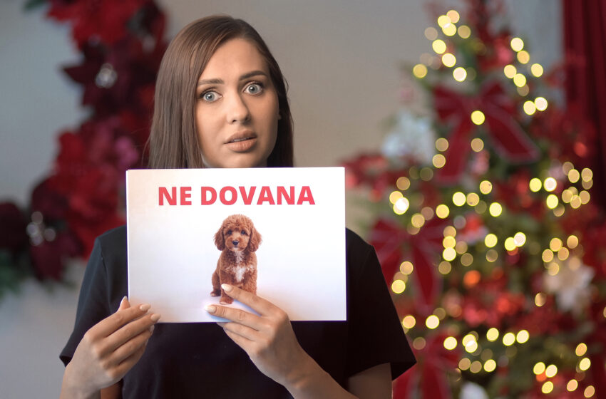  Gyvūnas – ne dovana