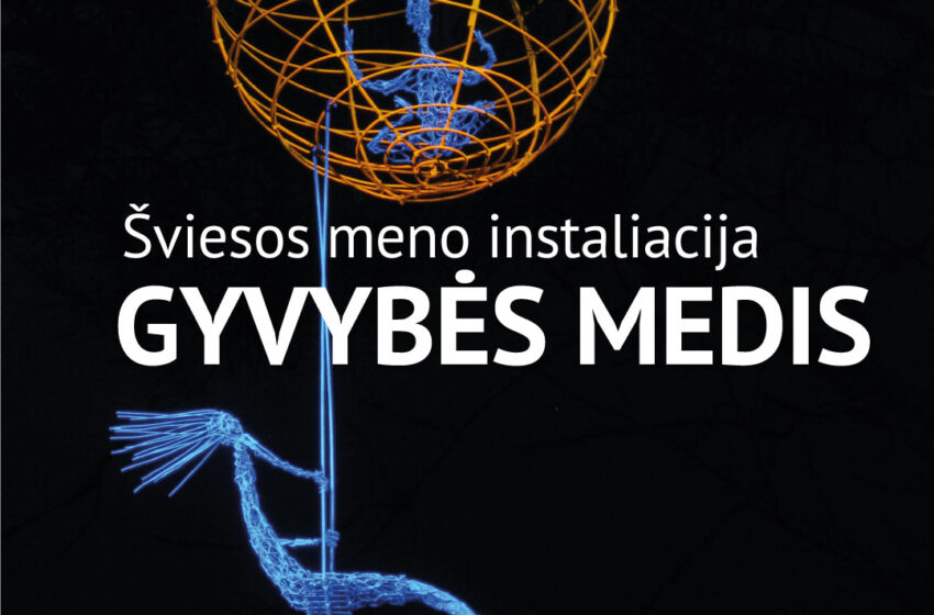  Žiemos sode rojaus spalvomis pražydo „Gyvybės medis“