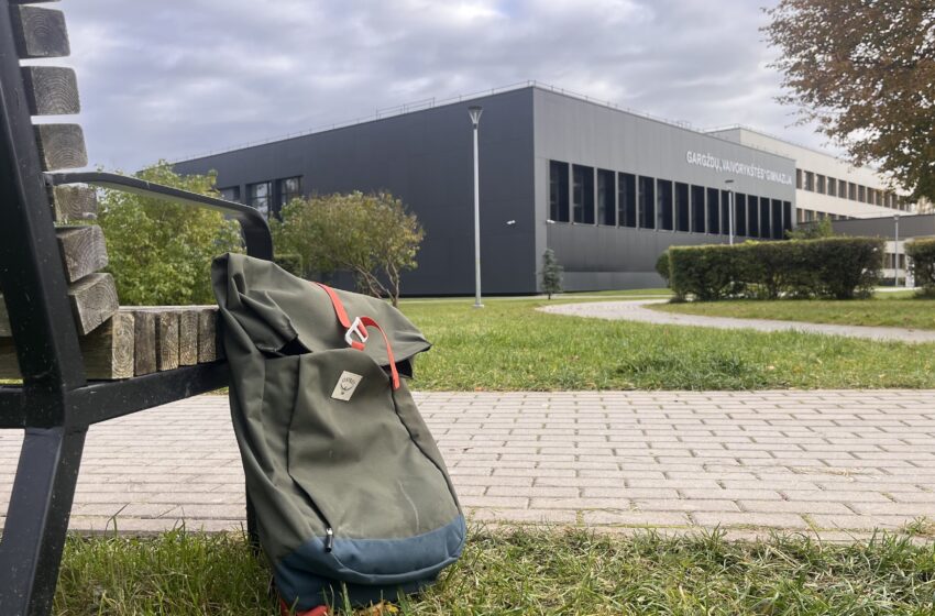  Vaiko paieškos viešinimas: tarp greitos pagalbos ir ilgalaikės žalos