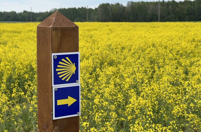  Šv. Jokūbo kelias jau ir Vakarų Lietuvoje
