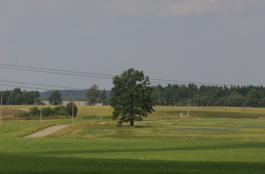  Mažesnė administracinė našta laukus tręšiantiems mėšlu