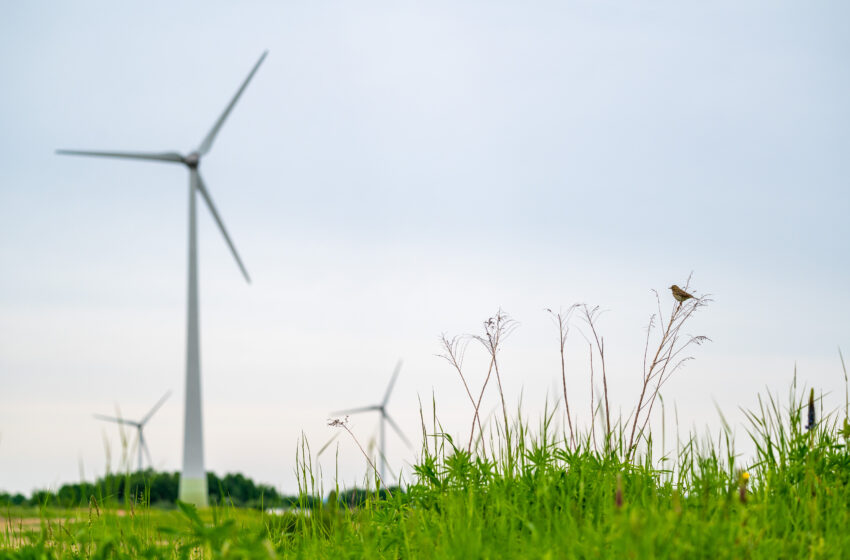  10 vėjo energetikos naudų: nuo švaresnės aplinkos iki stipresnės bendruomenės