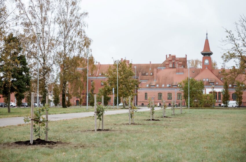  Klaipėdos universitetas – „Pastatai kalba. Klaipėda“ maršrute: savaitgalį atsivers visuomenei neprieinamos erdvės