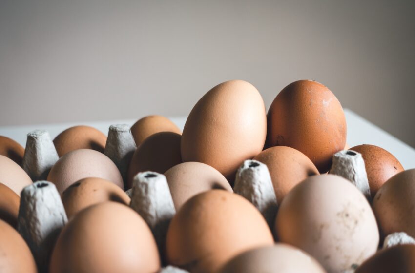  Beveik pusė lietuvių visiškai nežino, ką reiškia žymėjimas ant kiaušinių: kodėl verta žinoti?