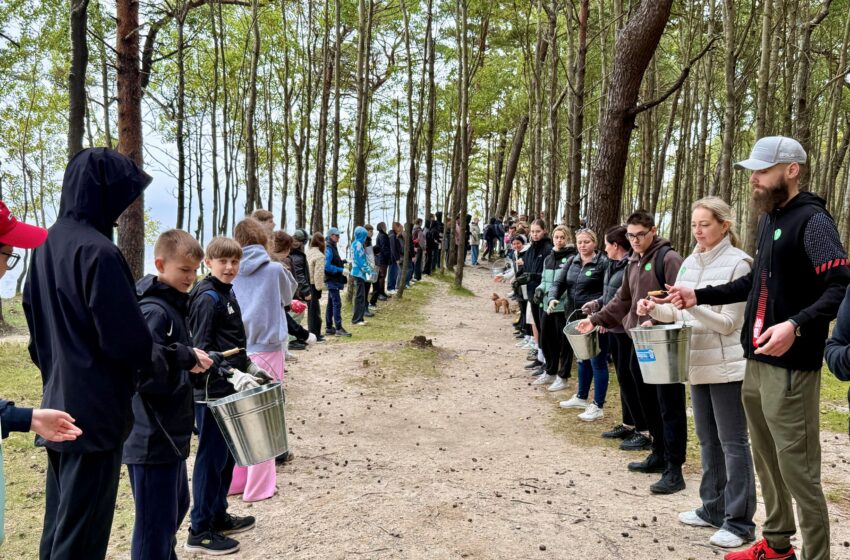  Po talkos – saugesnės Olando Kepurės prieigos
