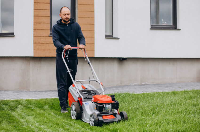  Kuo išsiskiria Stihl vejapjovė ir kodėl ją renkasi profesionalai?
