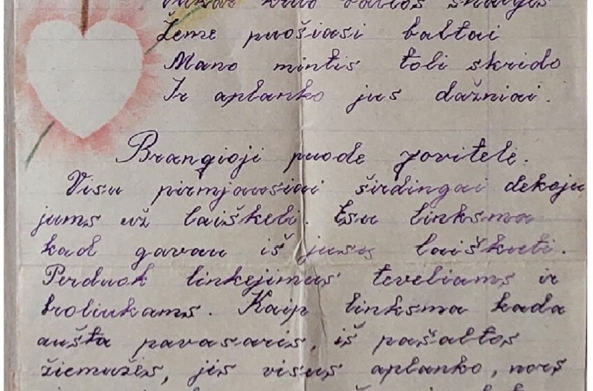  Veiviržėnų medicinos sesuo Jovita pas pacientus brido basa