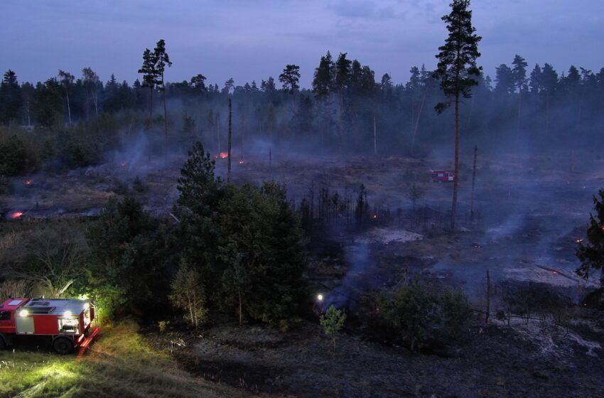  Valstybinių miškų urėdija: žolės deginimo atvejų mažėja, tačiau daugiau gaisrų kyla miškuose