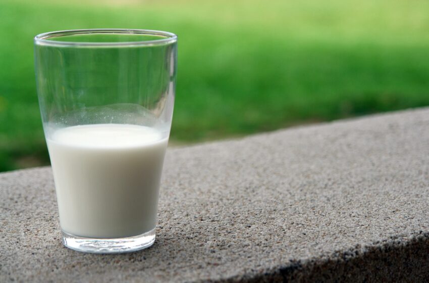  Nacionalinė parama pieno gamintojams – jau rugsėjį