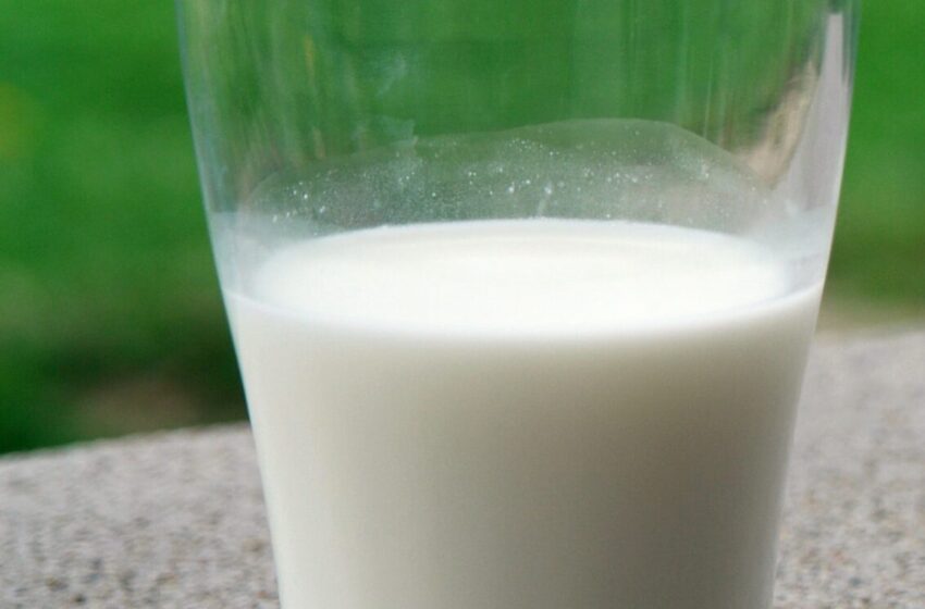  Nacionalinė parama pieno gamintojams – jau rugsėjį
