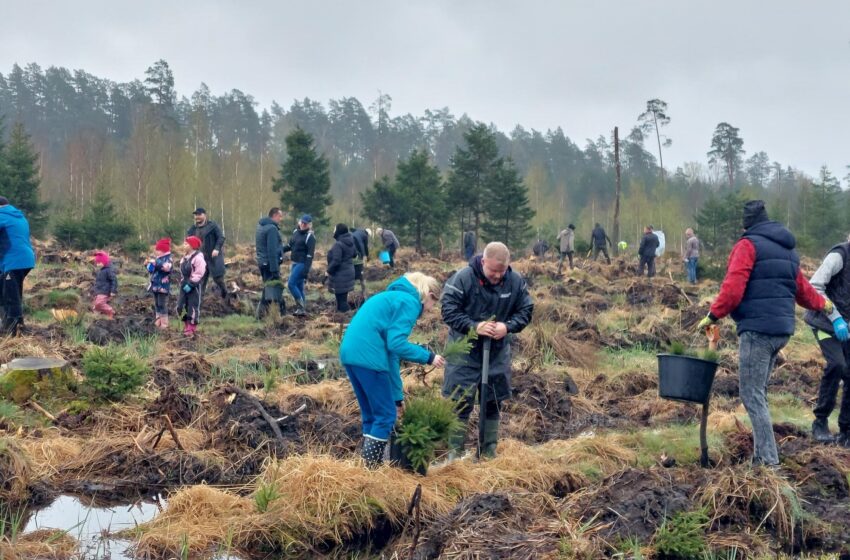  Per kelias valandas – 24 000 medelių
