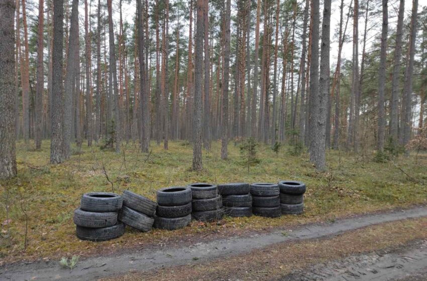  Sezoninis padangų keitimas – kodėl svarbu atsakingai tvarkyti naudotas padangas?