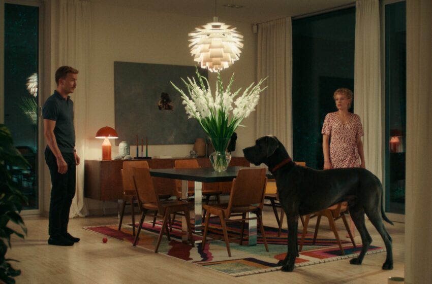  „Kino pavasario“ komandos rekomendacijos: 10 filmų, kuriuos būtina pamatyti