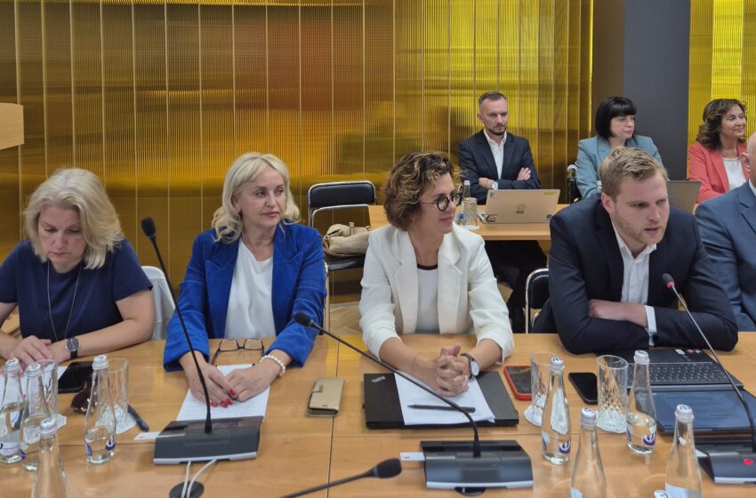  Opoziciją domino pavykę ir nepavykę mero ir komandos darbai