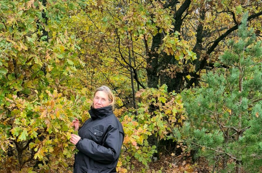  Medžiai svarbu, bet žmogaus sveikata svarbesnė