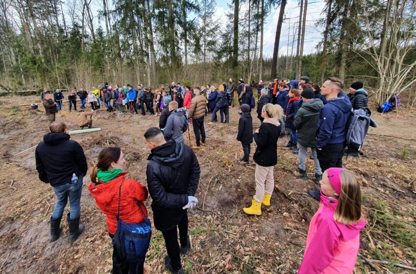  Lietuvoje prasidėjo pirmieji miškasodžiai – sužaliuos 14 000 medžių