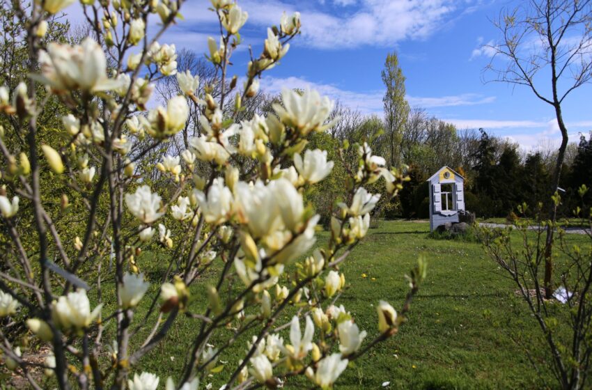  KU Botanikos sodas kviečia švęsti Žavėjimosi augalais dieną