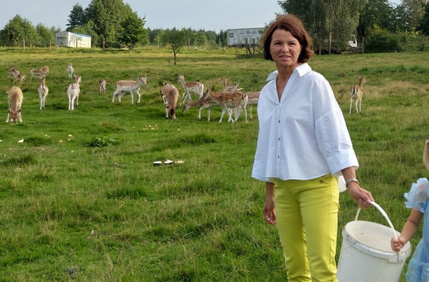  Šiūpariškių danieliai teikia ir grožį, ir naudą