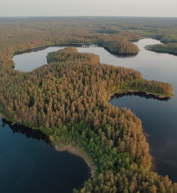  Interaktyviuose žemėlapiuose –naujausia informacija apie Lietuvos gėlųjų vandenų būklę