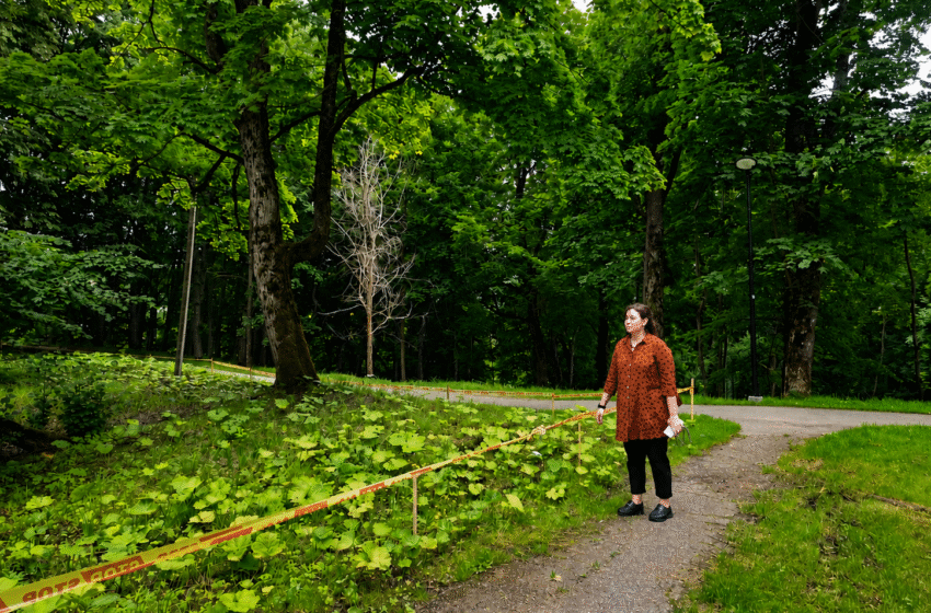  Klaipėdos rajoną atakuoja šliužai: kova verda ir parkuose, ir kiemuose