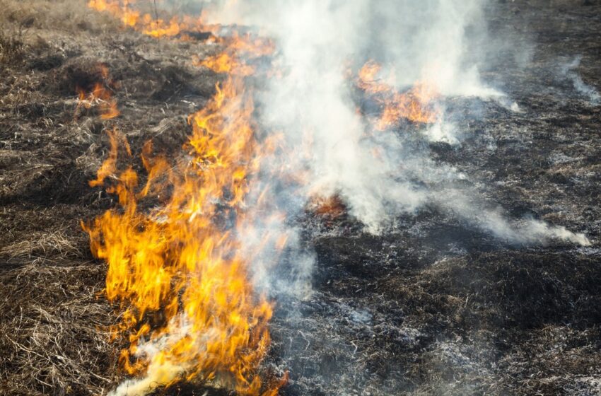  Už žolės ir atliekų deginimą galima sulaukti baudos