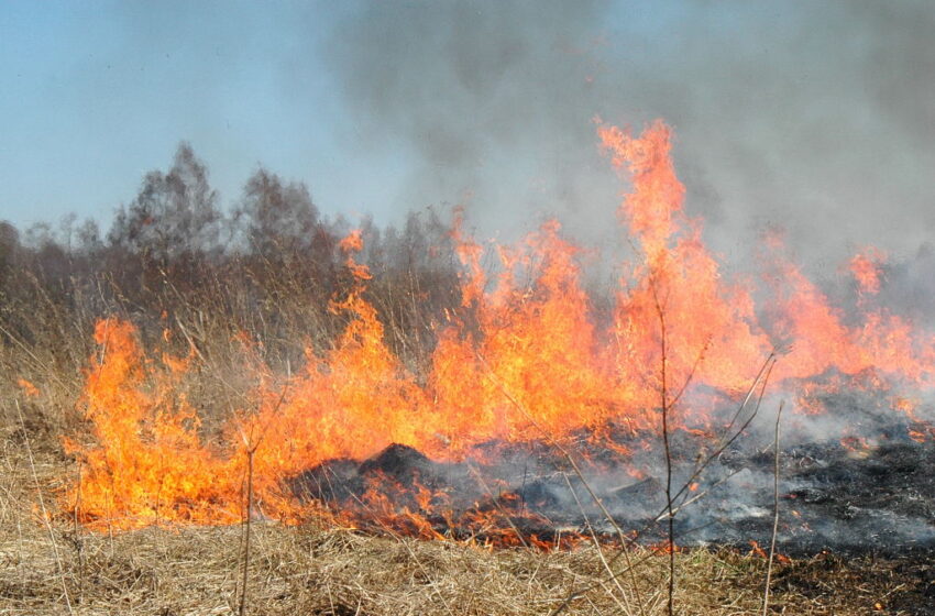  Miškų gaisringumo situacija Lietuvoje