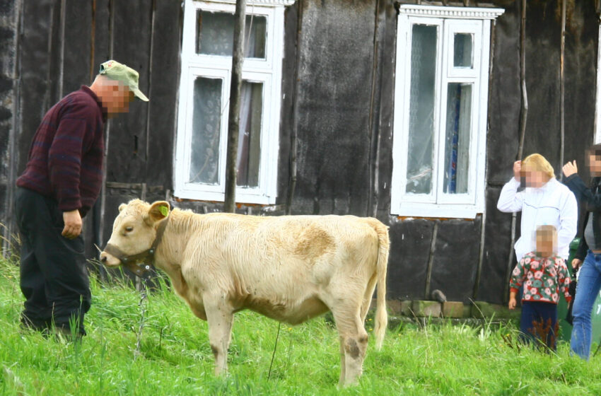  Ar suprantame, ką reiškia gyventi kaime, kaip sakoma, ūkiškai?