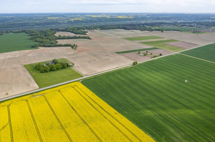  Informuojame visuomenę apie parengtą žemės sklypų (kad. Nr. 5558/0004:435; 5558/0004:1259; 5558/0004:1260) Trušelių k., Sendvario sen., Klaipėdos r. sav. detalųjį planą, numatantį koreguoti detaliojo plano, reg. Nr. T00063906, sprendinius.
