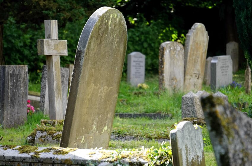  Kaip paaiškinti vaikui, kas yra mirtis? Būkite atviri ir nebijokite nežinoti visų atsakymų