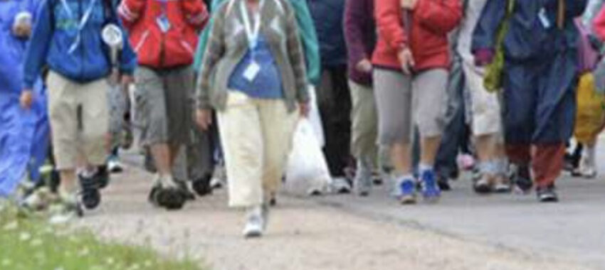  Po savaitės – į piligriminį žygį popiežių garbei