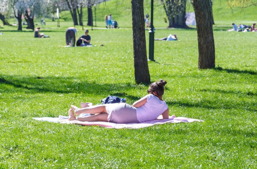  Erkės aktyvios ne tik miške: kaip apsisaugoti?