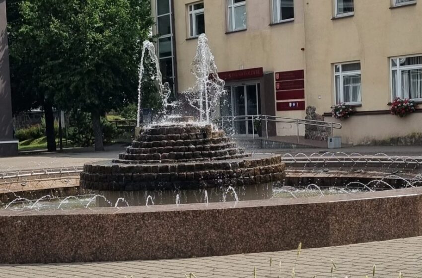  Tarybos narių „naujokų“ veiklos peripetijos: darbas verda ne tik posėdžiuose