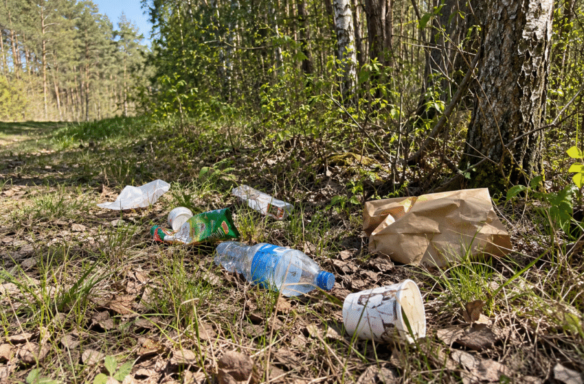  Po beveik pusmečio Kvietinių pamiškė sutvarkyta, o pažeidėjas nubaustas