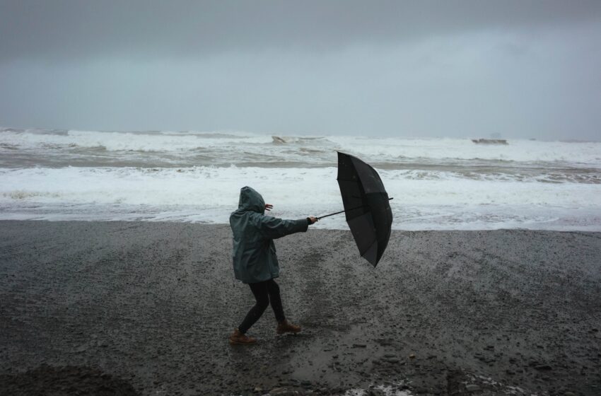  KU mokslininkė siūlo neskubėti vertinti audros padarinių, nes stichija pakrantę siaubs ir šią savaitę