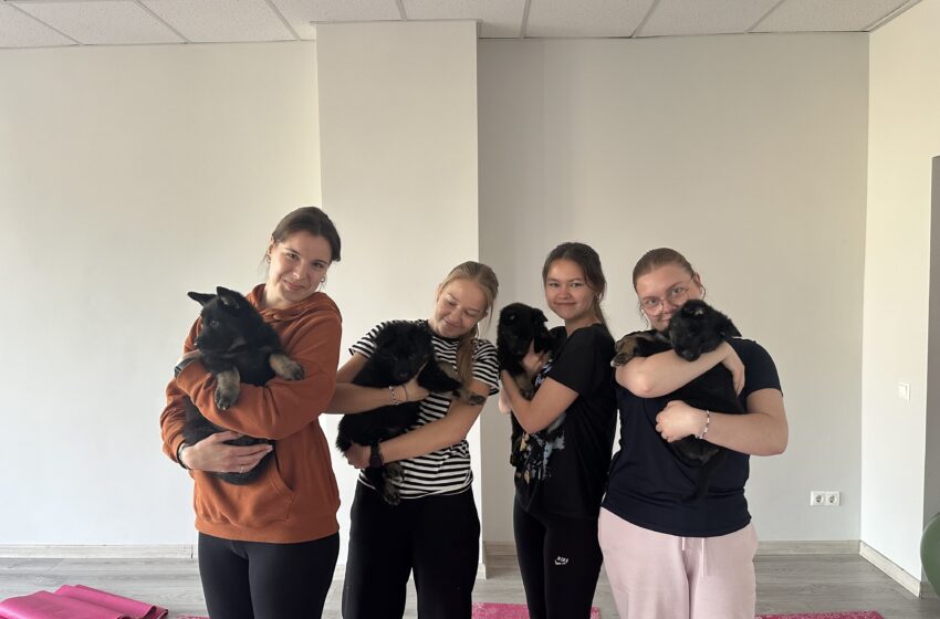  „Puppy“ joga – sveikesnio gyvenimo link