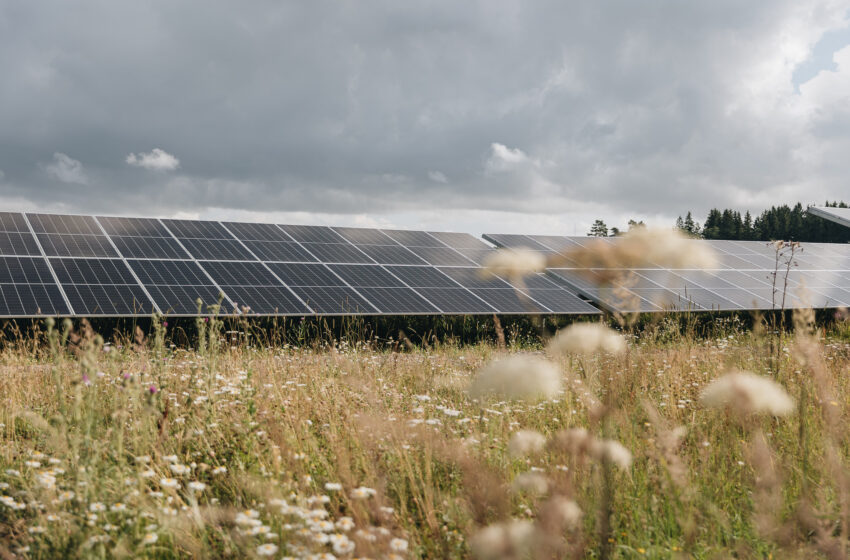  „Ignitis renewables“ plečia žaliosios energijos gamybą Baltijos šalyse – Latvijoje pradeda veikti Varmės saulės parkas